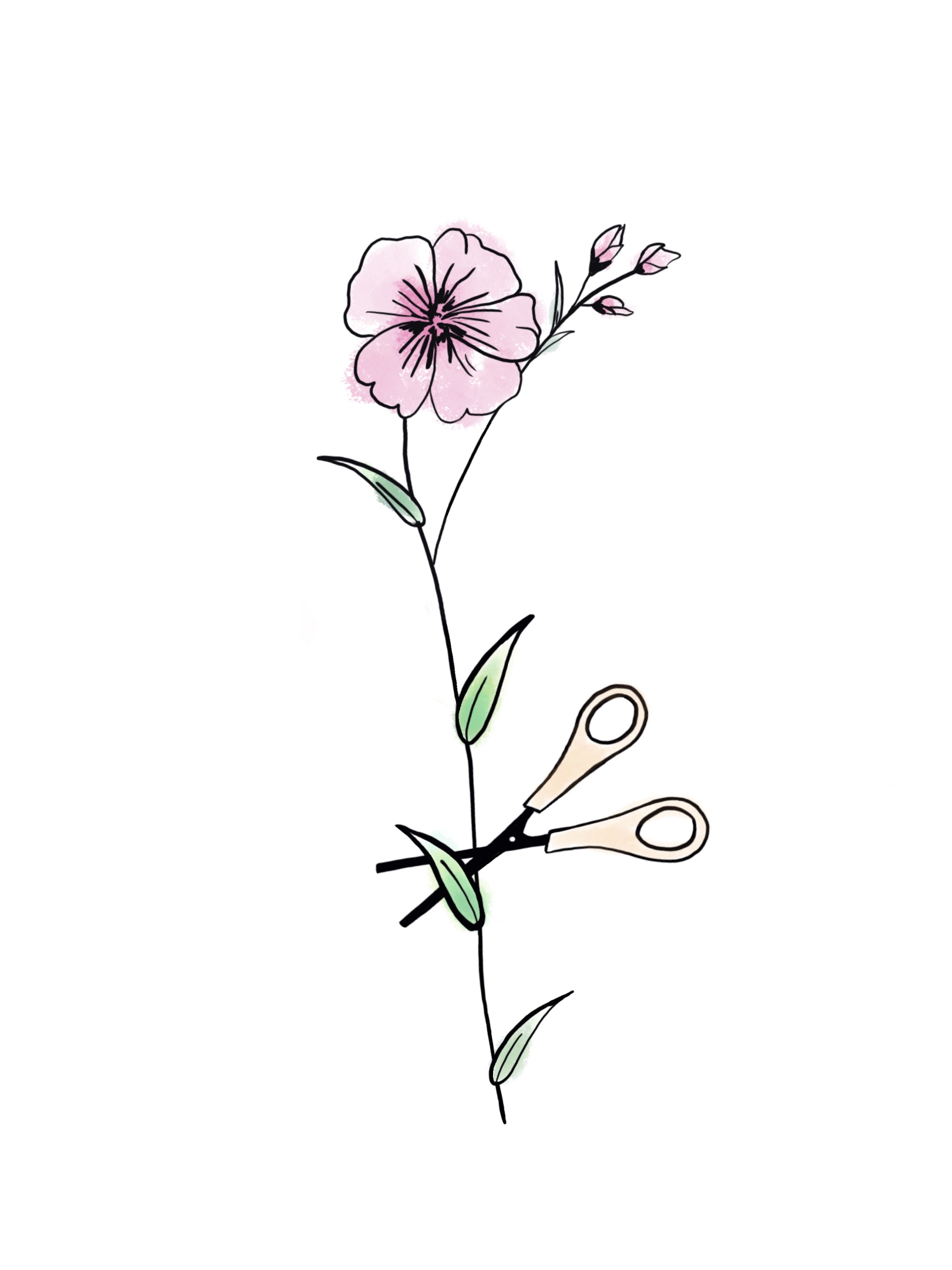 skörda_med_hänsyn_blommor