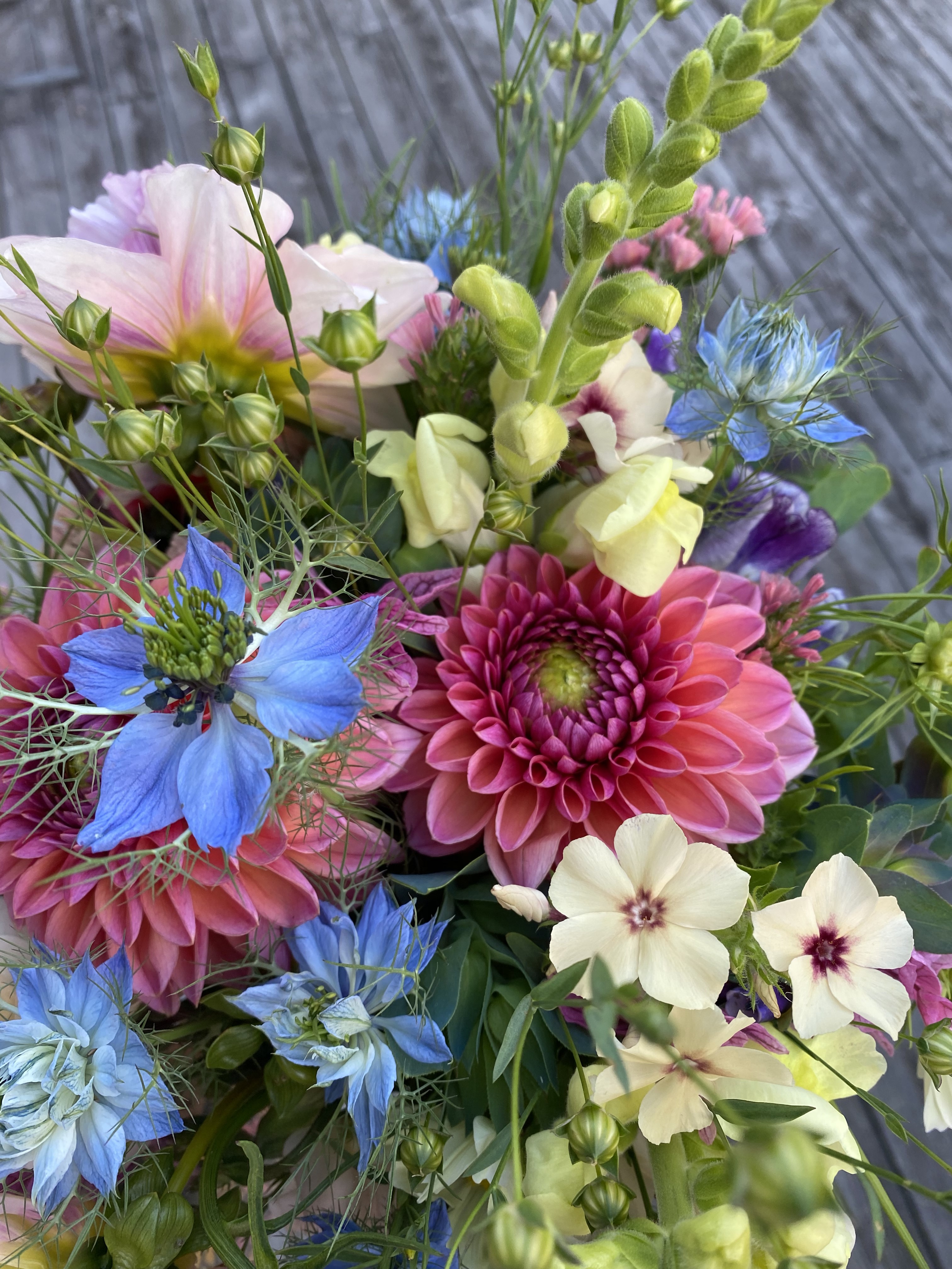 skötselråd_snittblommor